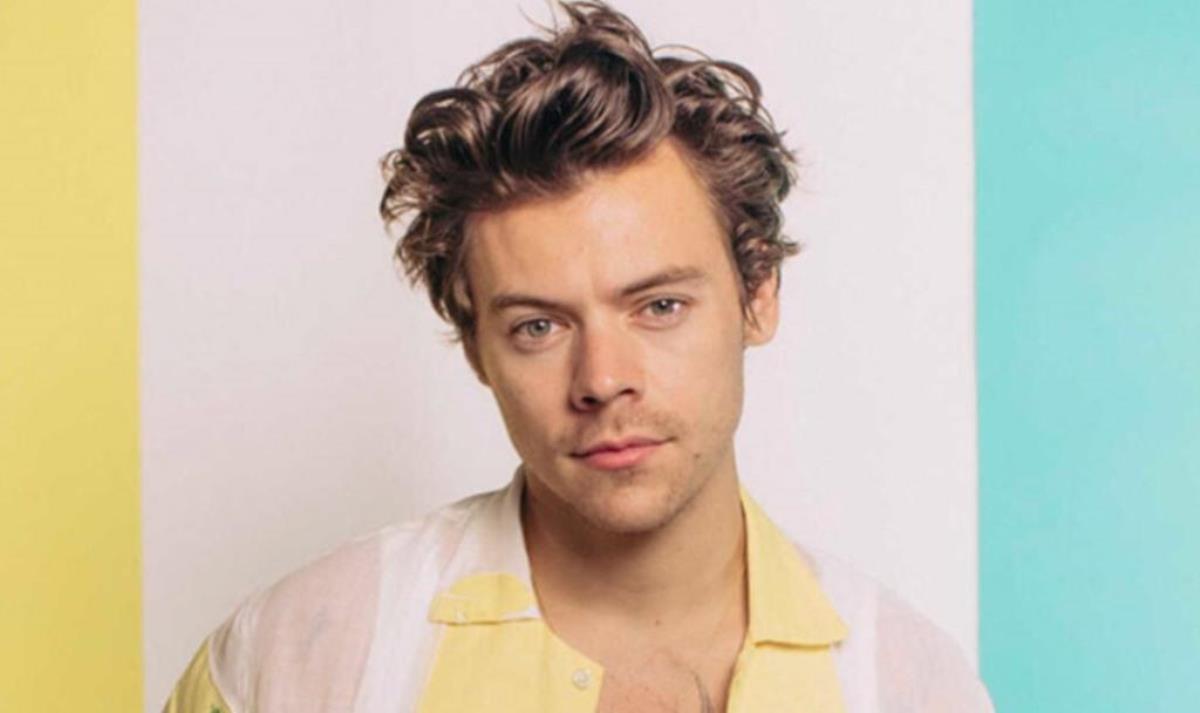 Harry Styles Net Worth