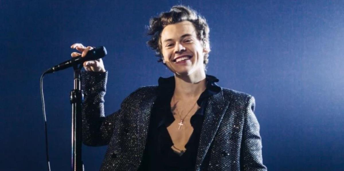 Harry Styles Net Worth