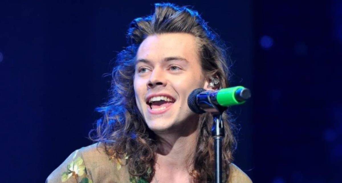 Harry Styles Net Worth