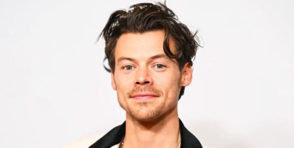 Harry Styles Net Worth 2024: How Much is the As It Was Singer Worth?