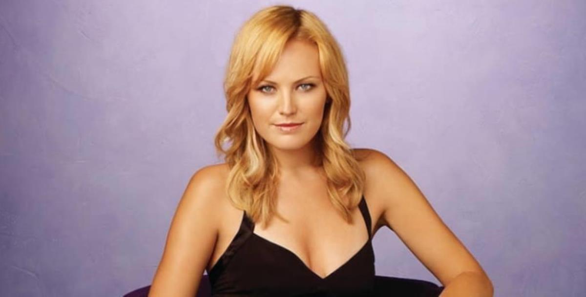 Malin Akerman Net Worth