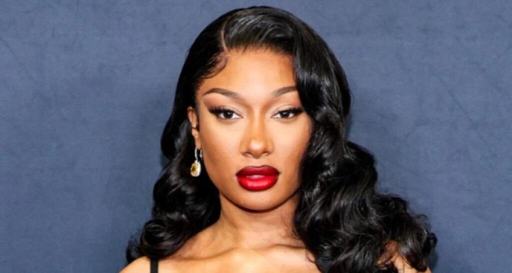 Megan Thee Stallion Net Worth: Fame & Fortune