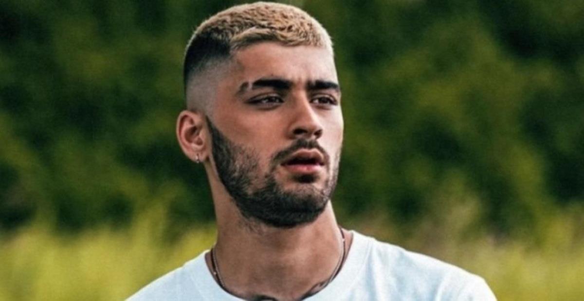 Zayn Malik Net Worth: The Power Behind His Wealth Zayn Malik Net Worth