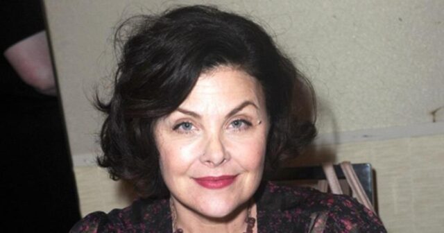 Sherilyn Fenn Net Worth