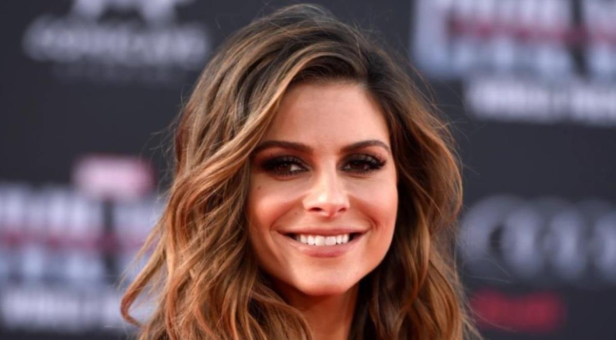 Maria Menounos Net Worth