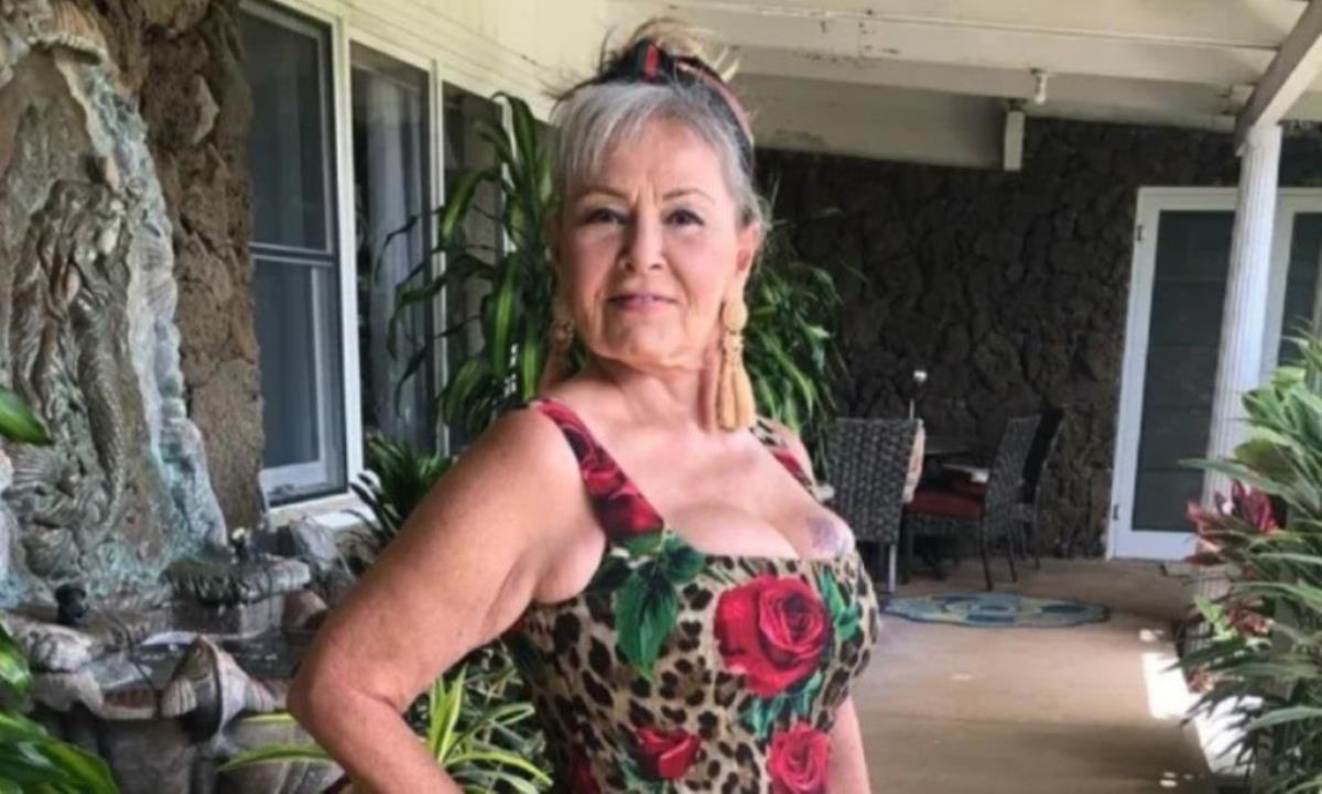 Roseanne Barr Net Worth