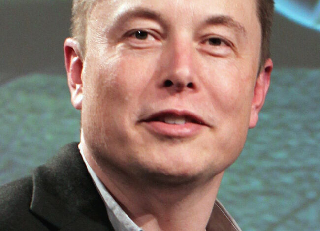 Elon Musk portrait