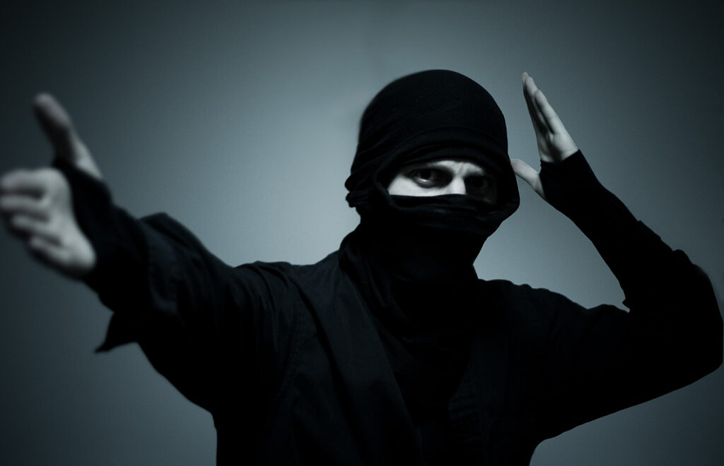 Ninja portrait