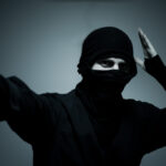 Ninja portrait