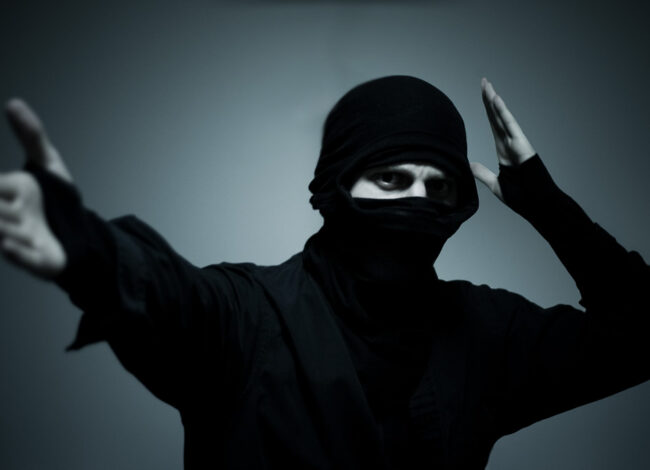 Ninja portrait