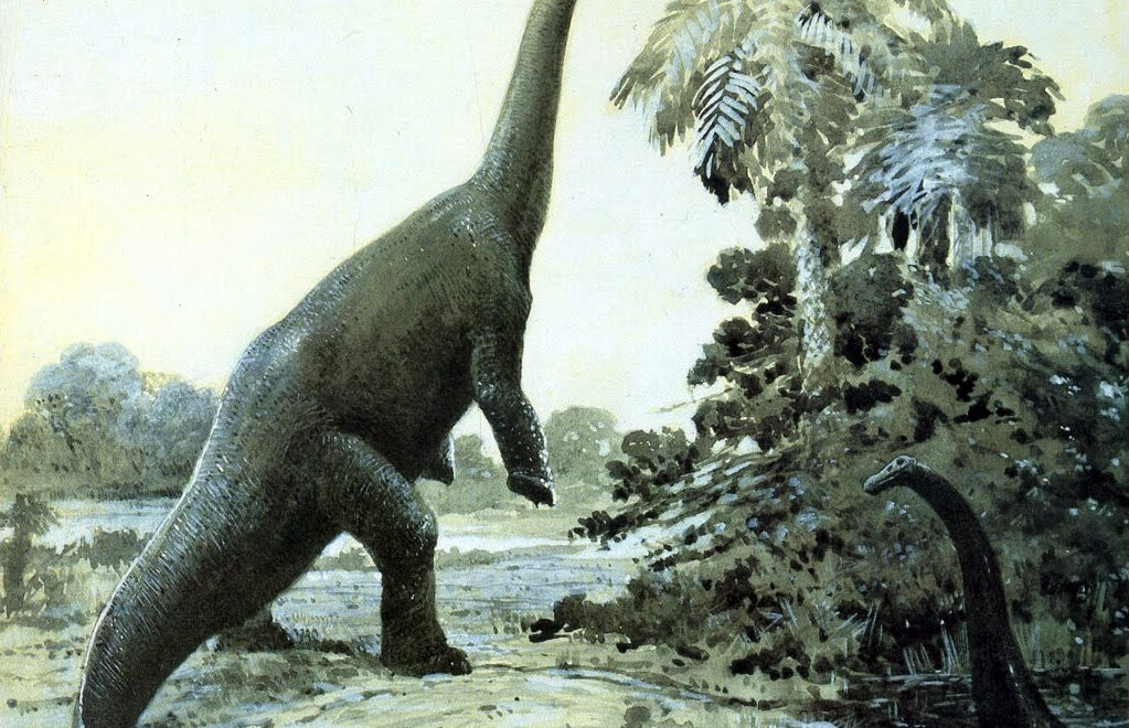 Diplo portrait