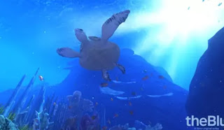 海と魚