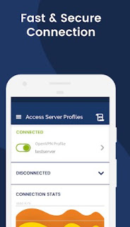OpenVPN