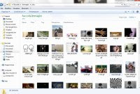 Windowsでの画像プレビュー