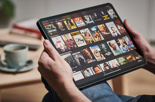 Netflixの費用