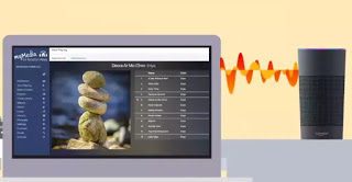 EchoとGoogleHomeでmp3を再生する