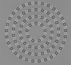 幻想のある最高の画像