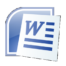 Microsoft Word Professional