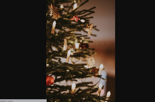 クリスマス写真4 クリスマス4