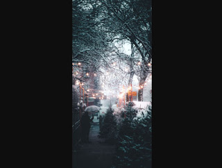 クリスマス写真9 クリスマス9