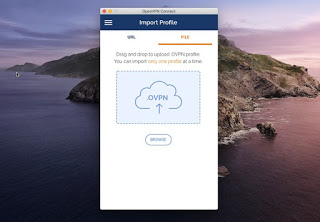 OpenVPNインターフェースMac Mac上のOpenVPN