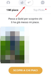 TheTinderを発見する TheTinderユーザー