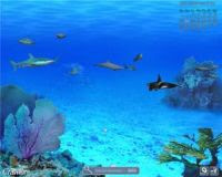 水族館