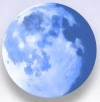 Palemoon ブラウザ