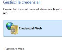 Internet Explorer のパスワード管理