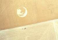 Firefox ミステリーサークル