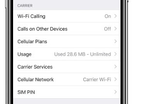 iPhoneのデータ制限 iPhoneを制限する