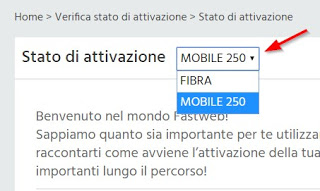 Fastweb アクティベーション セレクター