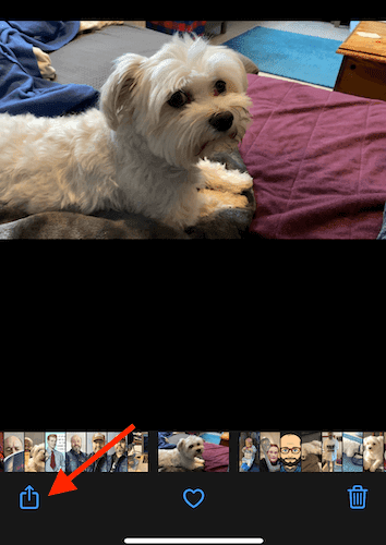 iPhoneの写真の共有アイコン