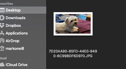 デスクトップに転送された写真