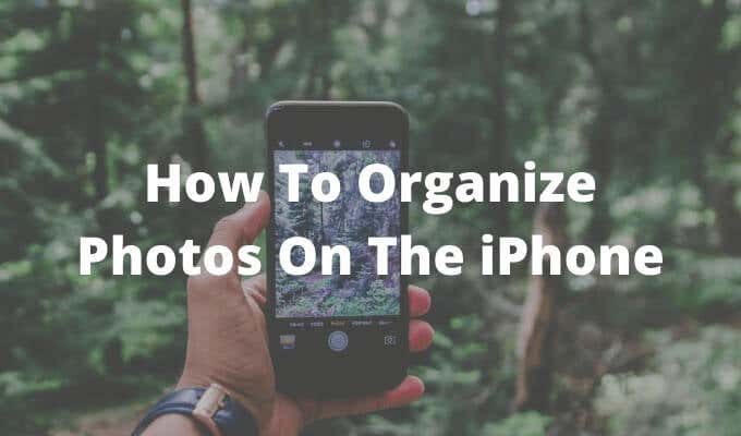iPhoneで写真を整理する方法