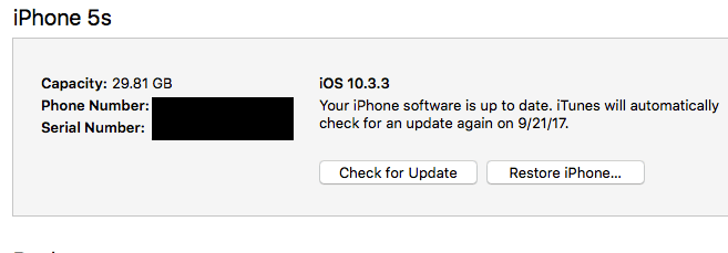 iPhoneの情報画面