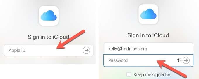 iCloud の Apple ID とパスワードのフィールド