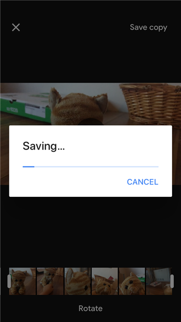 Google フォトが新しい動画を保存します