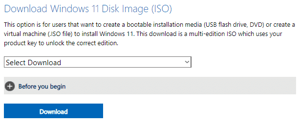 Windows 11 ISO のダウンロード オプション