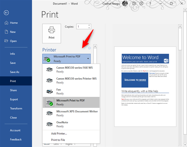 Microsoft Word で Microsoft Print To PDF プリンターを選択する