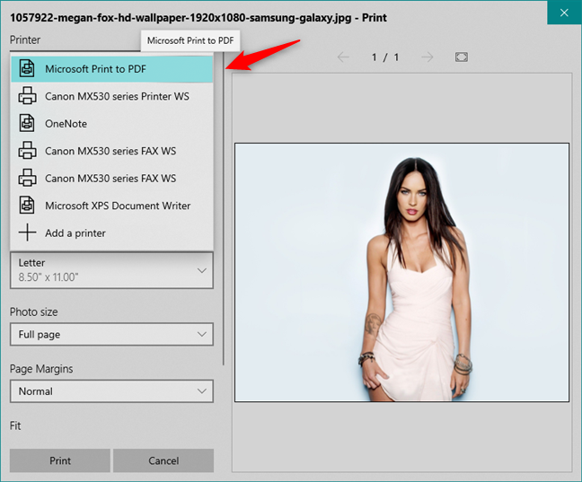 写真アプリで Microsoft Print To PDF プリンターを選択します。