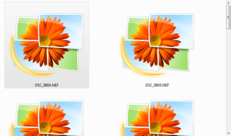 Windows Live フォト ギャラリー