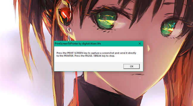 PRINT SCREEN キーを押して画面をキャプチャし、PRINTER に送信します。