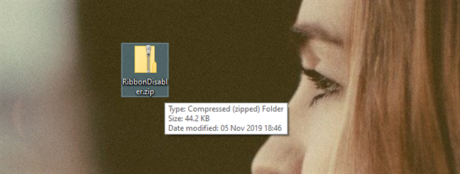 RibbonDisabler.zip ファイル