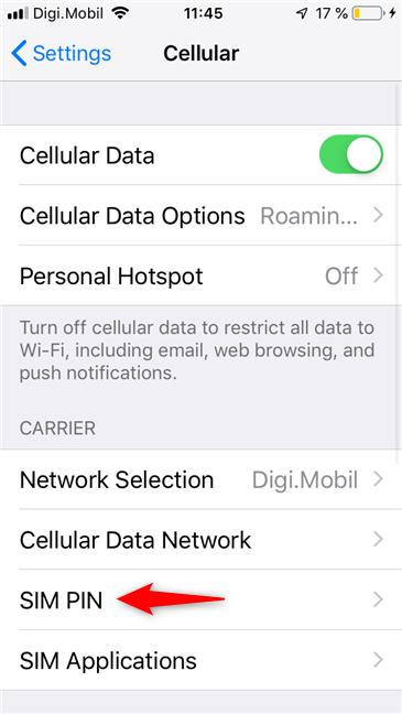 iPhone の SIM PIN オプション