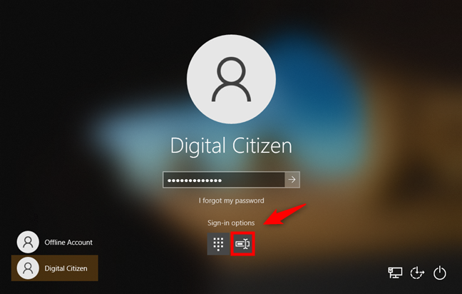 Windows 10 サインイン オプション: パスワードの選択