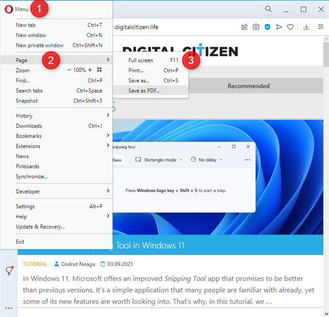 Opera をフルスクリーンで実行するように設定する