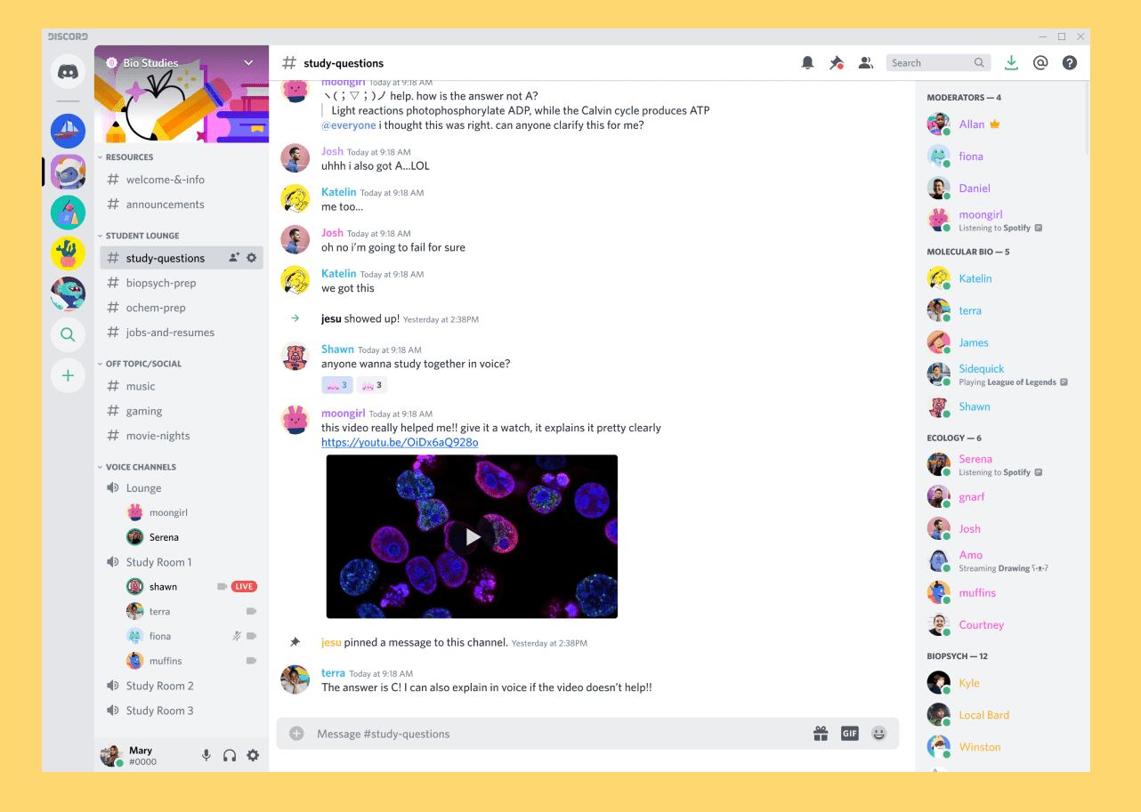 Discordから動画をダウンロードする方法
