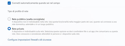 Windows 11 パブリック ネットワーク
