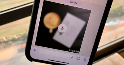 WhatsAppの写真を保存できないようにする
